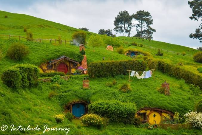 Hobbiton Movie Set Green Rolling Hills Matamata New Zealand